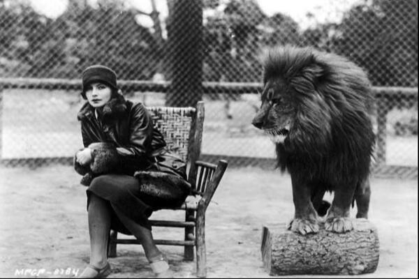 Greta Garbo and Leo the MGM Lion Twitter HistoryPics - Leo Weather in Astrology 2017-2019