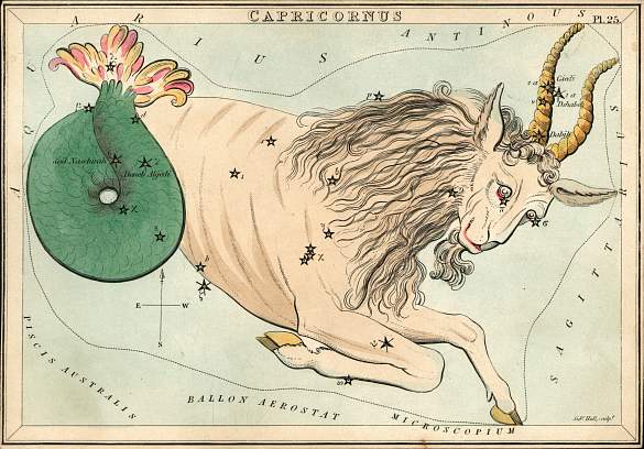 capricorn chart - Your Career Transformation and Pluto in Capricorn