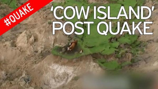 Cow Island post quake 600x338 - New Zealand Astrology