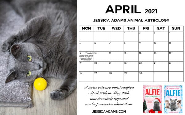 Animal Astrology Cat April 2021