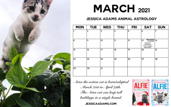 Animal Astrology Cat March 2021