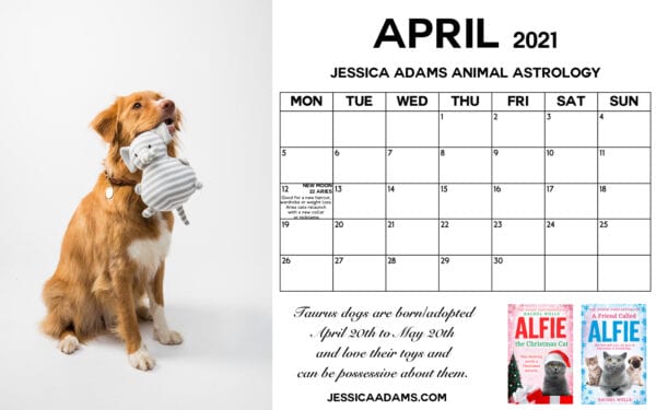 Animal Astrology Dog April 2021 600x375 - Animal Astrology and Psychic Pets Event