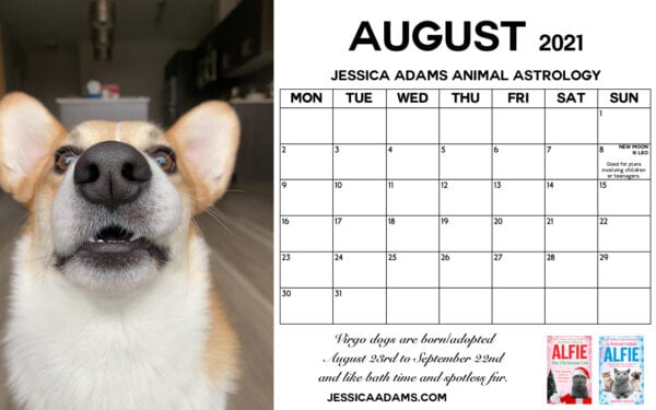 Animal Astrology Dog July 2021