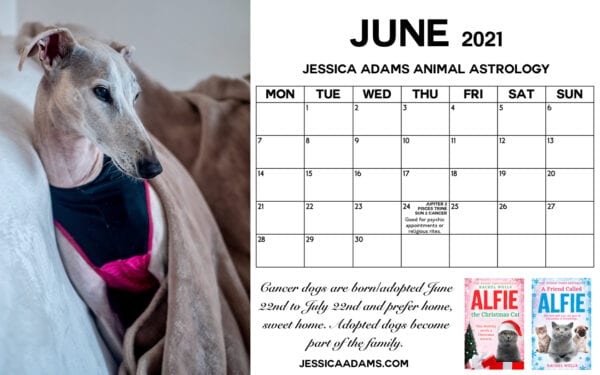 Animal Astrology Dog June 2021