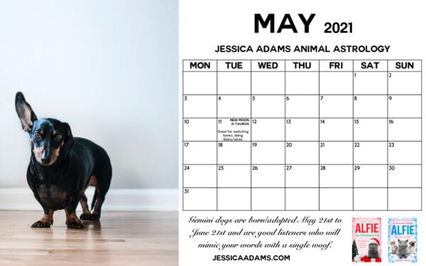 Animal Astrology Dog May 2021