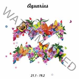 Aqu18profile 300x300 - Aquarius