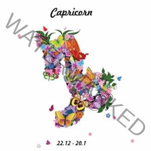 Cap18profile 300x300 - Capricorn