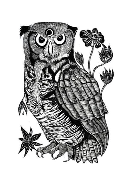 Minerva Owl 438x600 - Introduction to Astrology: Minerva and Mod Astrology