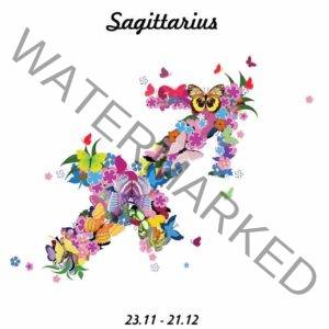 Sag18profile 300x300 - Sagittarius