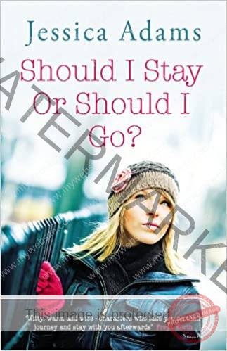 should I stay or go - Books