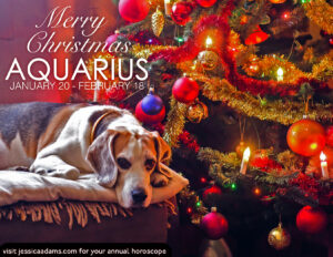 Aquarius Christmas Dog Animal Astrology Card