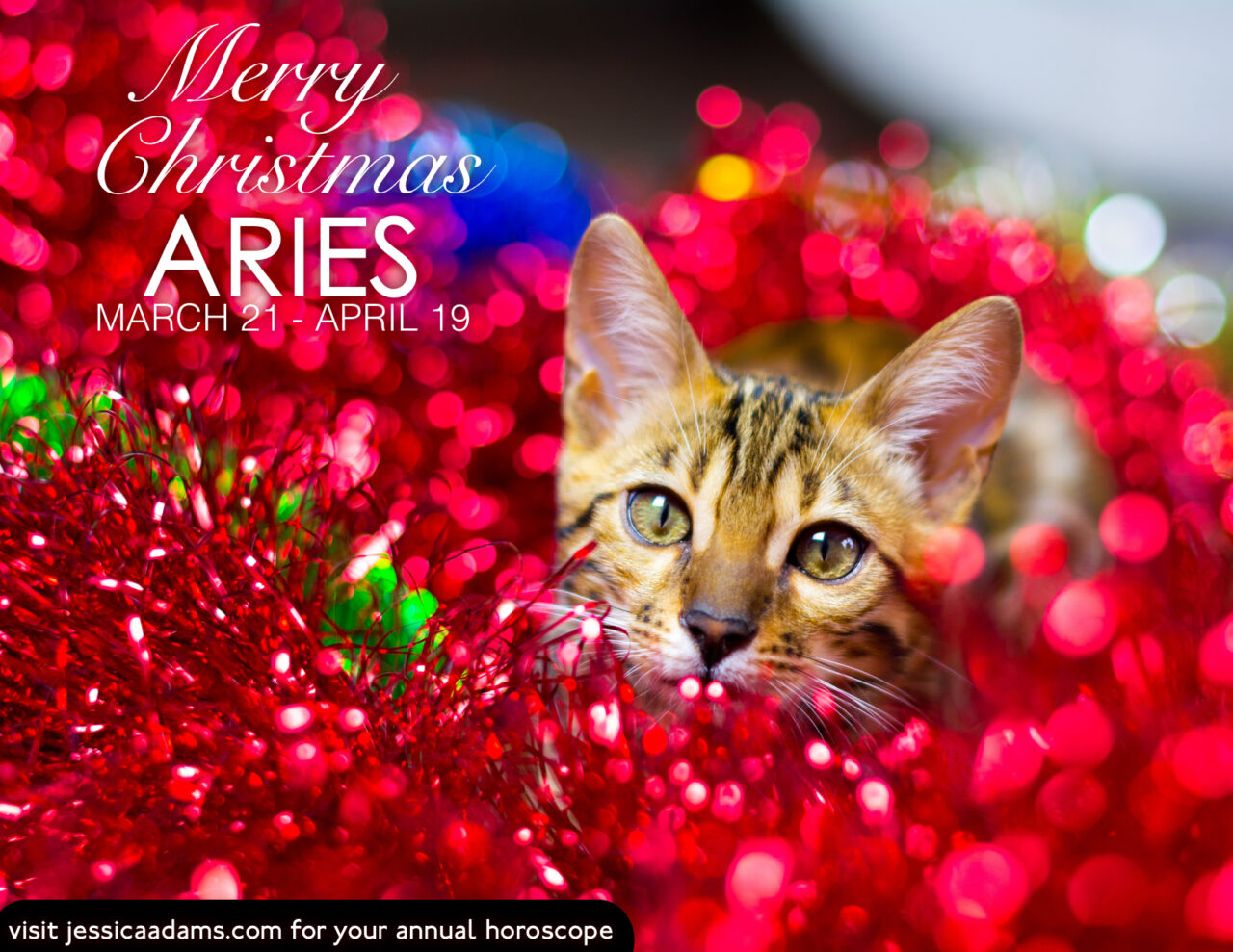 Aries Christmas Cat Animal Astrology Card scaled - E-Cards