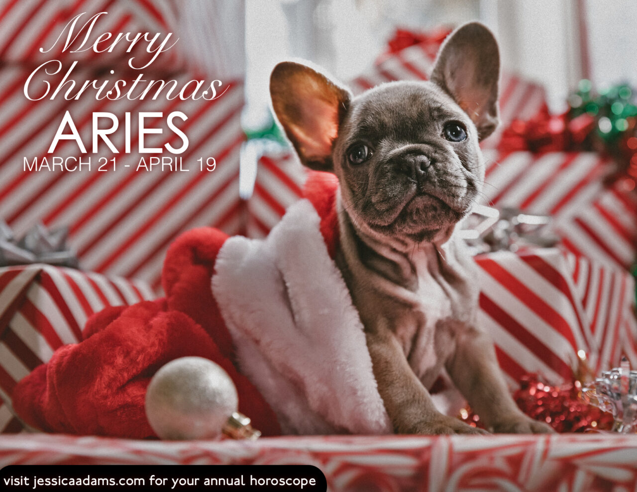 Aries Christmas Dog Animal Astrology Card scaled - E-Cards