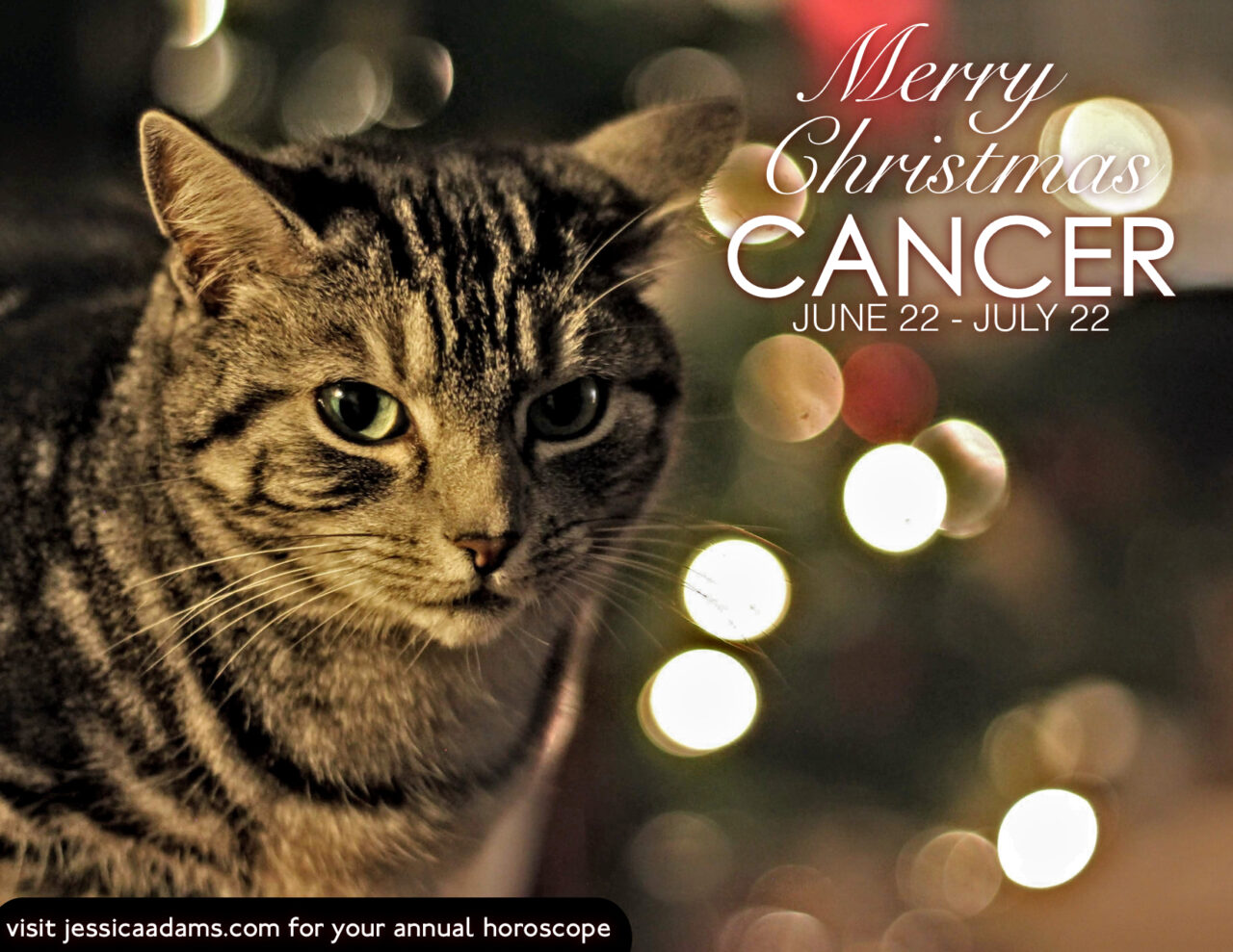 Cancer Christmas Cat Animal Astrology Card scaled - E-Cards
