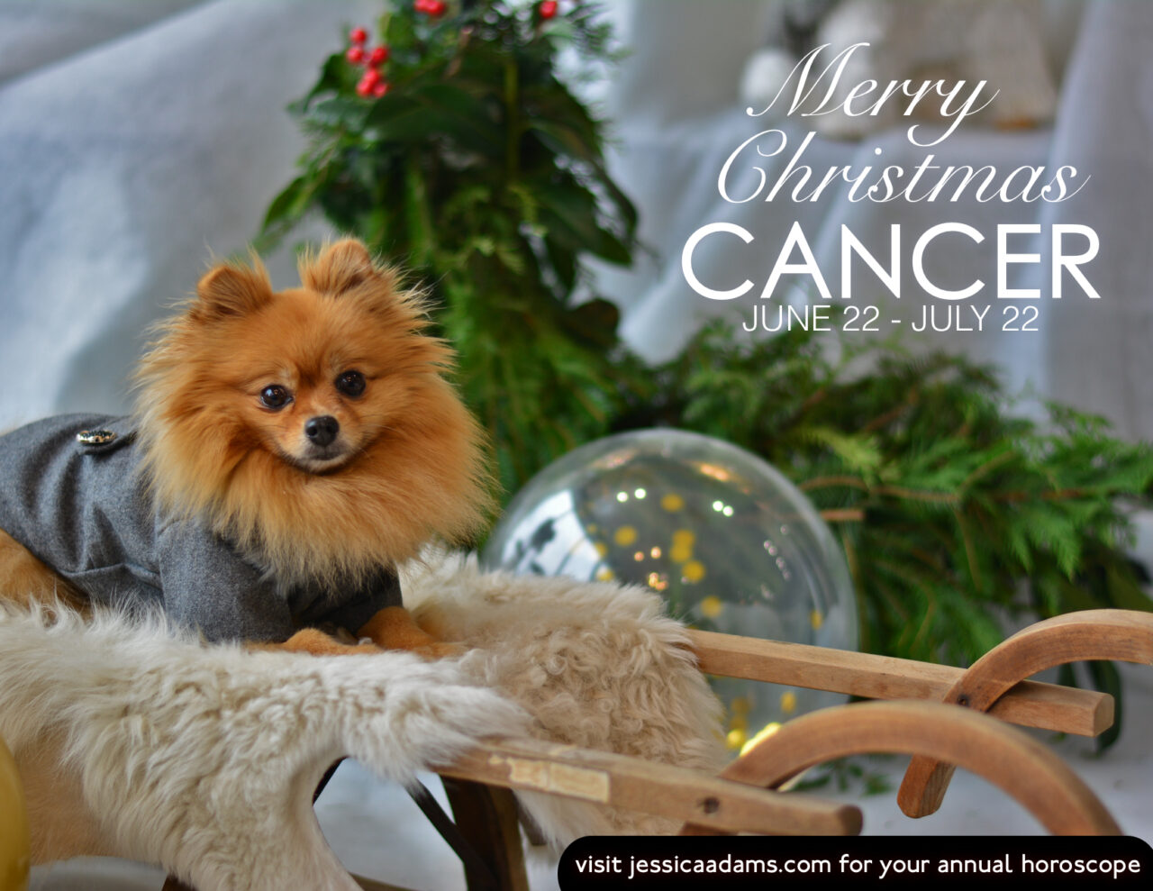 Cancer Christmas Dog Animal Astrology Card scaled - E-Cards