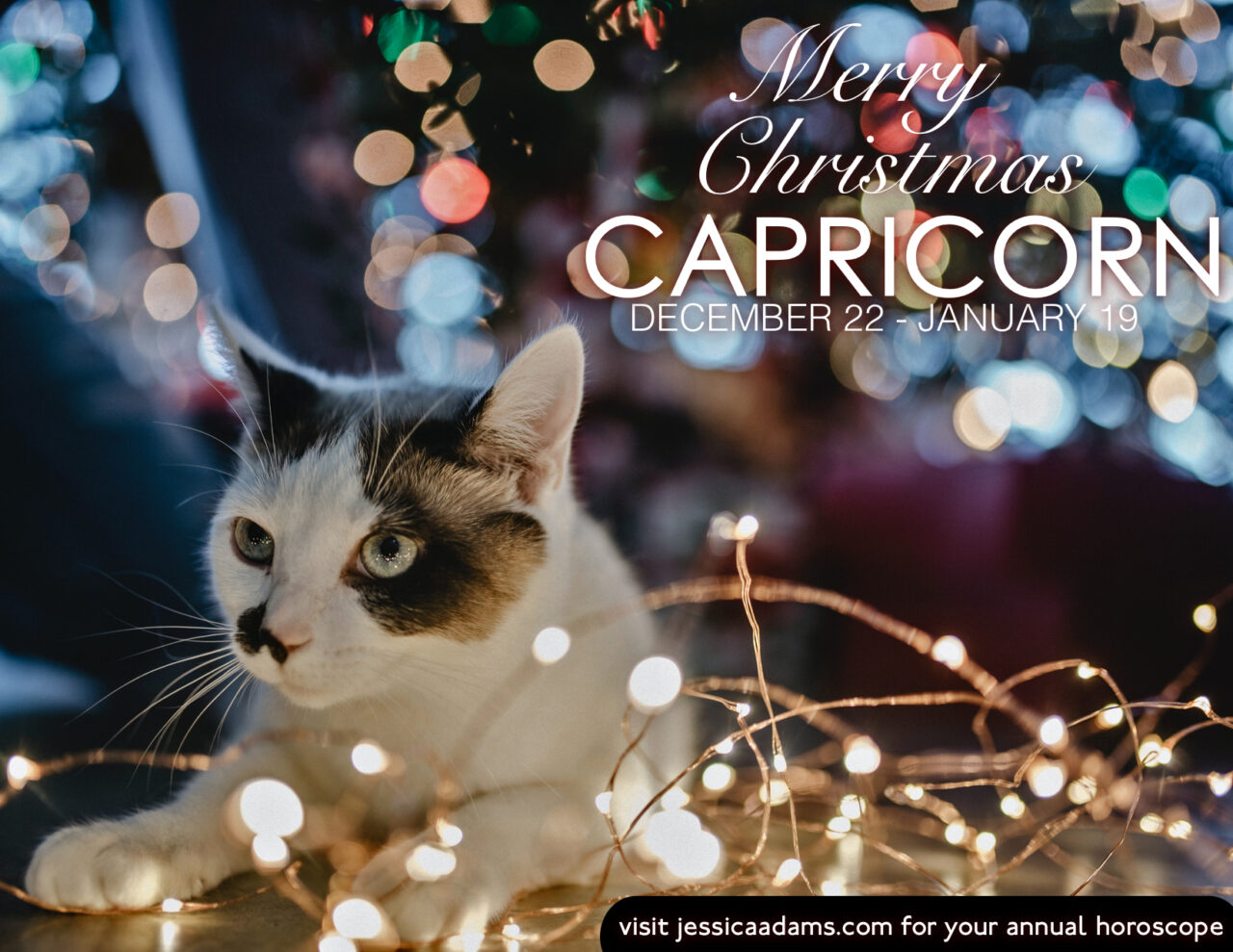 Capricorn Christmas Cat Animal Astrology Card scaled - E-Cards