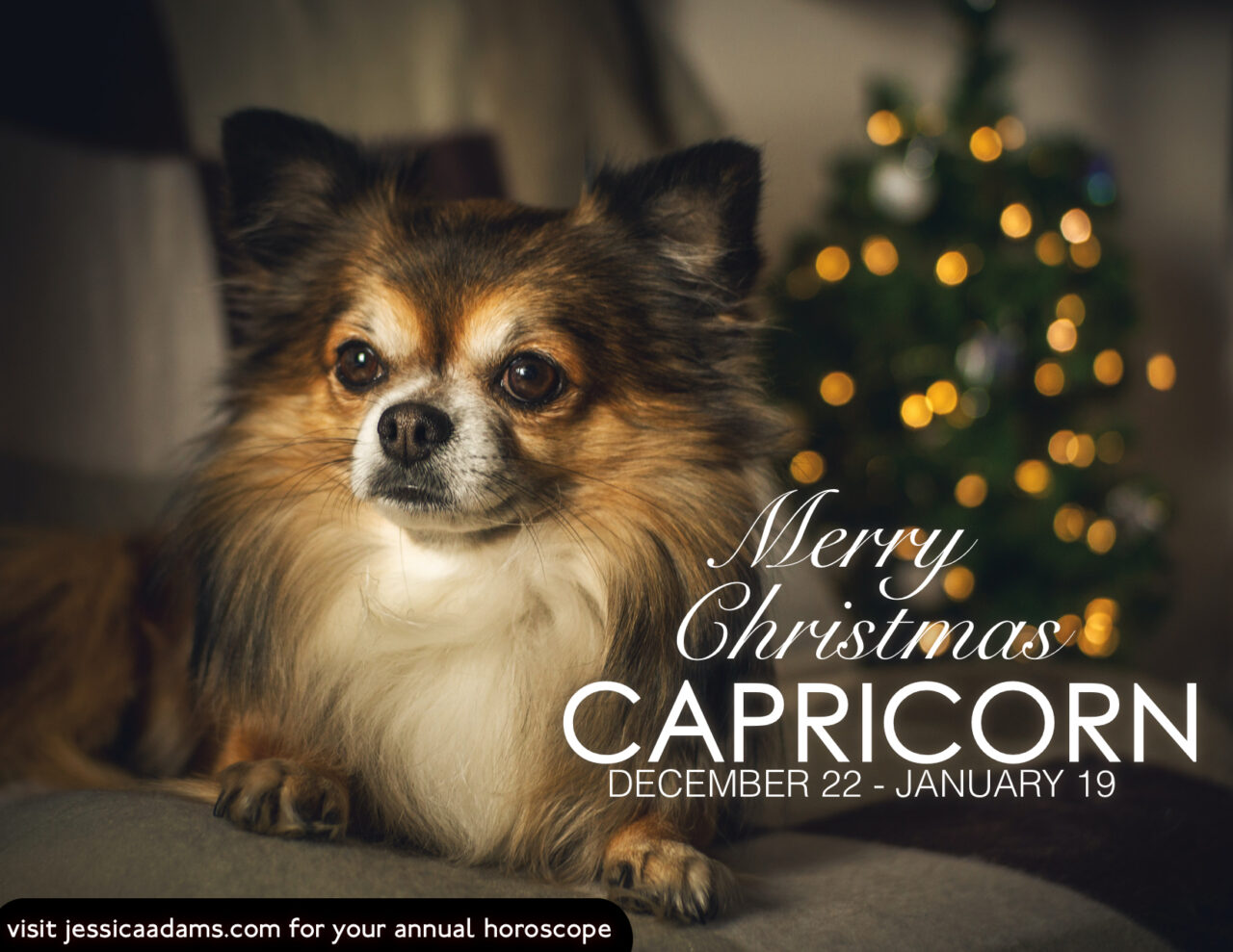 Capricorn Christmas Dog Animal Astrology Card scaled - E-Cards