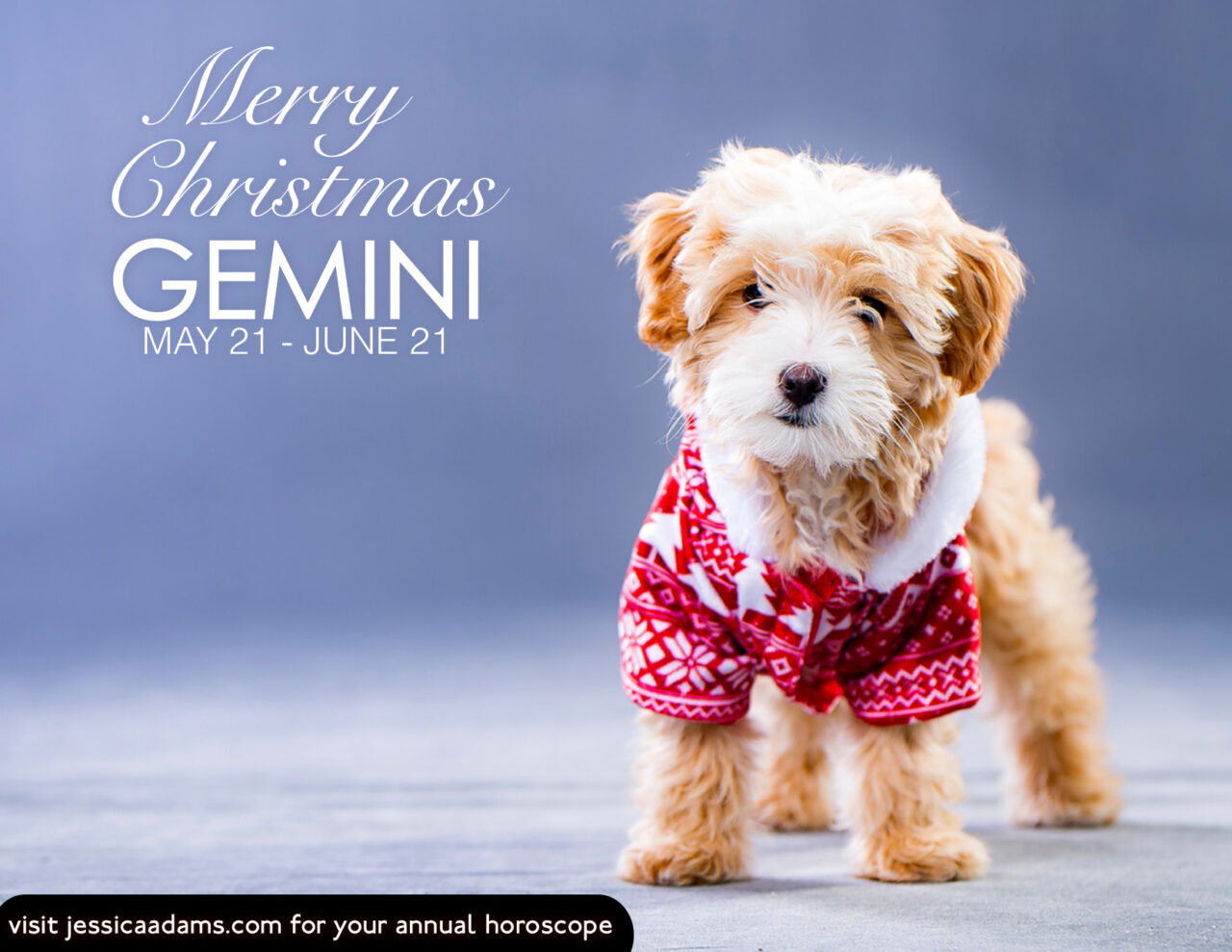 Gemini Christmas Dog Animal Astrology Card scaled - E-Cards