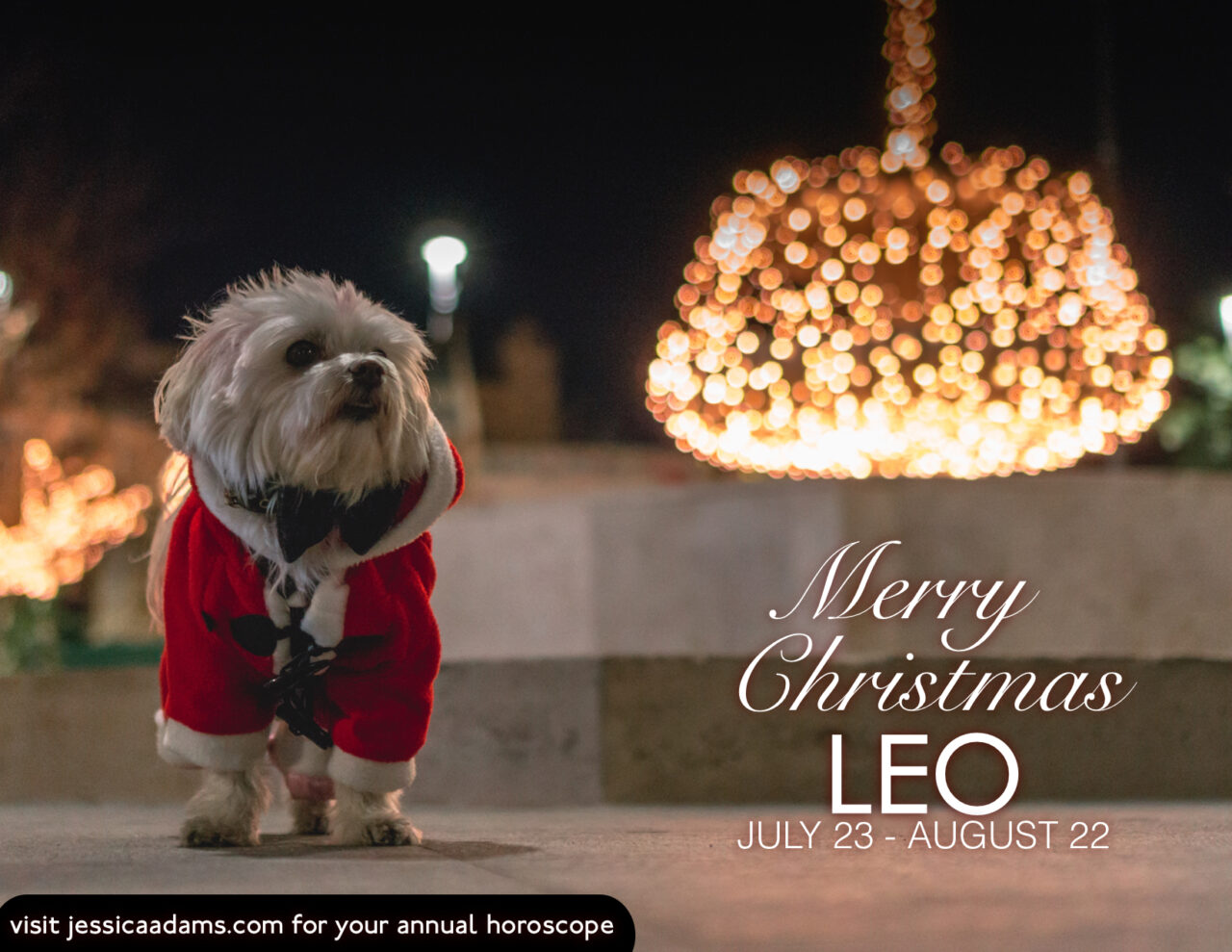 Leo Christmas Dog Animal Astrology Card scaled - E-Cards