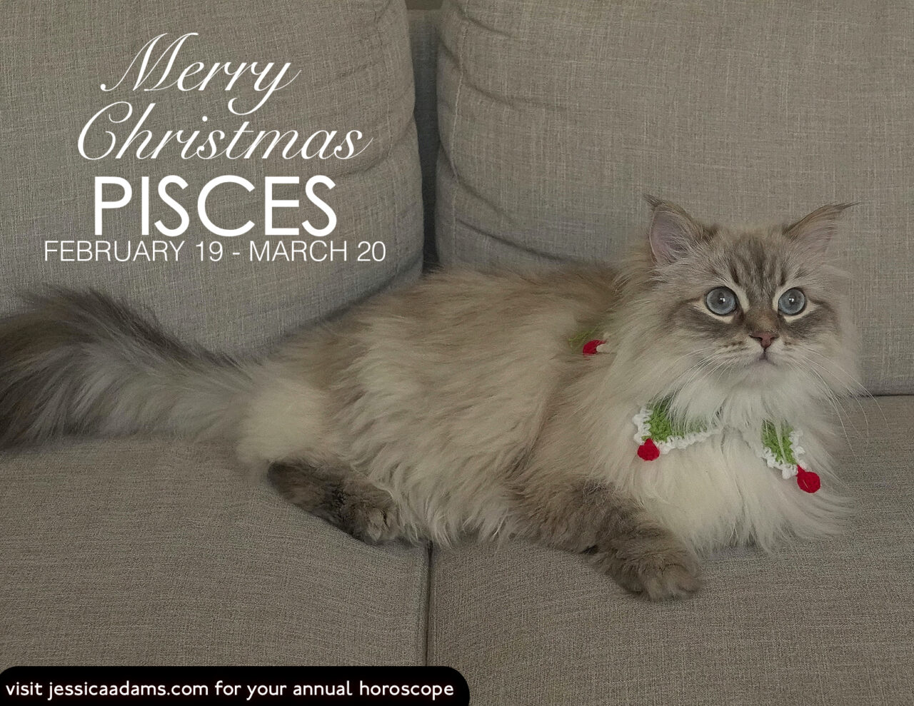 Pisces Christmas Cat Animal Astrology Card scaled - E-Cards