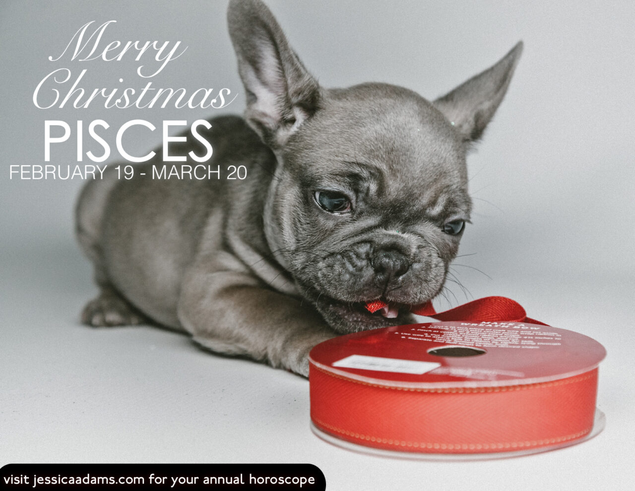 Pisces Christmas Dog Animal Astrology Card scaled - E-Cards