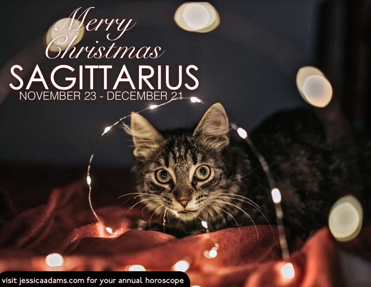 Sagittarius Christmas Cat Animal Astrology Card scaled - E-Cards
