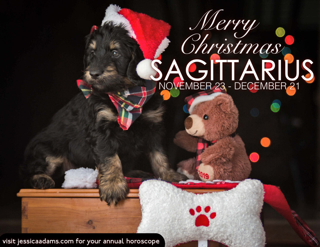 Sagittarius Christmas Dog Animal Astrology Card scaled - E-Cards