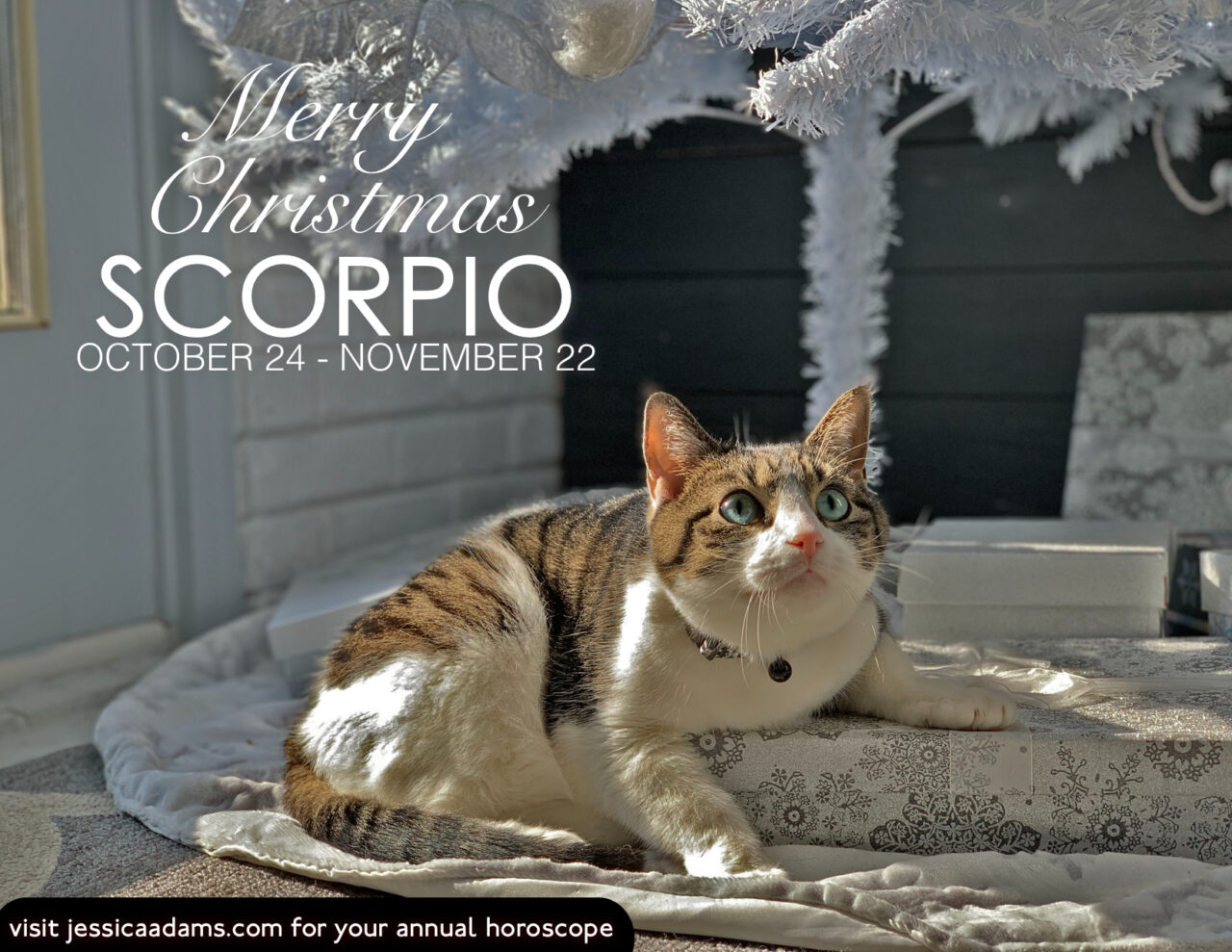 Scorpio Christmas Cat Animal Astrology Card scaled - E-Cards