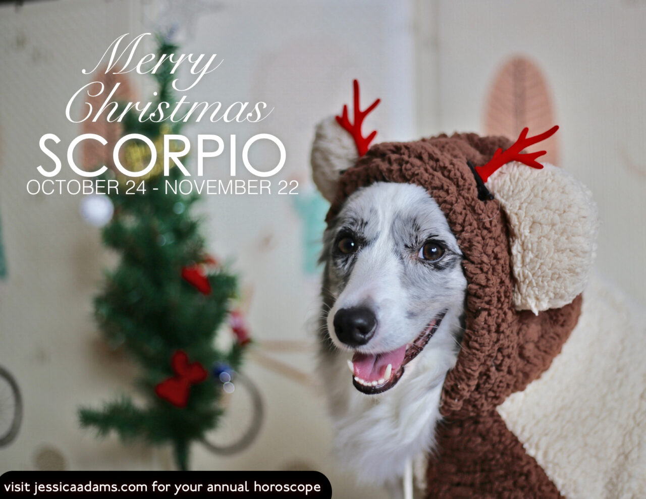 Scorpio Christmas Dog Animal Astrology Card scaled - E-Cards