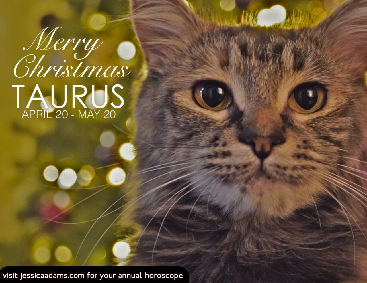 Taurus Christmas Cat Animal Astrology Card scaled - E-Cards