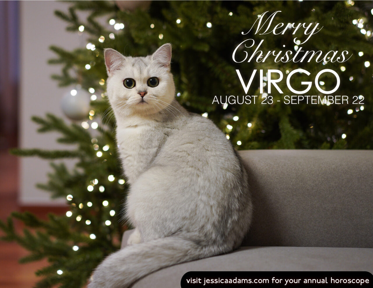 Virgo Christmas Cat Animal Astrology Card scaled - E-Cards