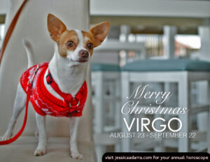 Virgo Christmas Dog Animal Astrology Card