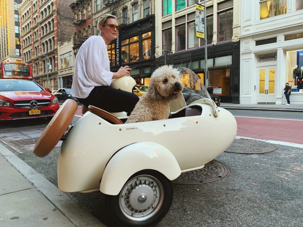 Introduction to Astrology: Understanding Pluto NY for Dogs Photo by Max Berger at Unsplash 1024x768 - Introduction to Astrology: Understanding Pluto