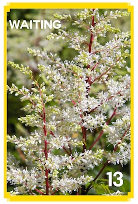 13_WAITING