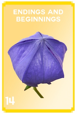 14_ENDINGS_AND_BEGINNINGS