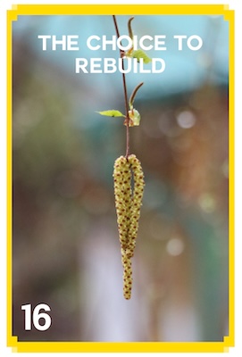 16_THE_CHOICE_TO_REBUILD