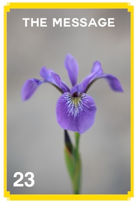23_THE MESSAGE