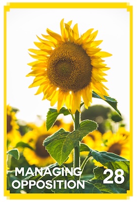 28_MANAGING OPPOSITION