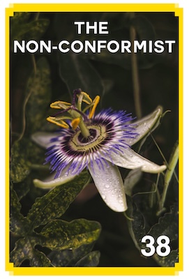38_THE NON-CONFORMIST