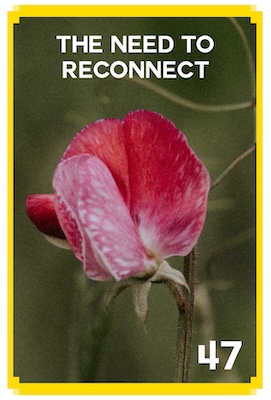 47_THE NEED TO RECONNECT