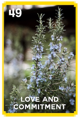49_LOVE AND COMMITMENT