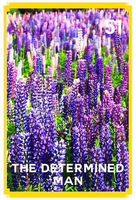 51_THE DETERMINED MAN