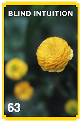 63_BLIND_INTUITION