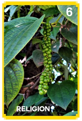 6_RELIGION