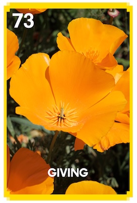 73_GIVING