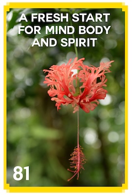 81_A_FRESH_START_FOR_MIND_BODY_AND_SPIRIT