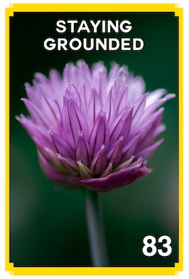 83_STAYING_GROUNDED