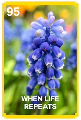 95_WHEN_LIFE_REPEATS