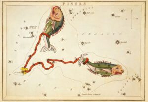 Full Moon in Pisces September 2022 Brassiere Pisces Istock 300x207 - Full Moon in Pisces September 2022
