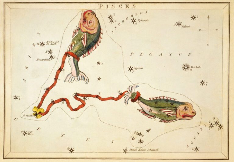 Brassiere Pisces Istock 768x531 - The Astrology Blog